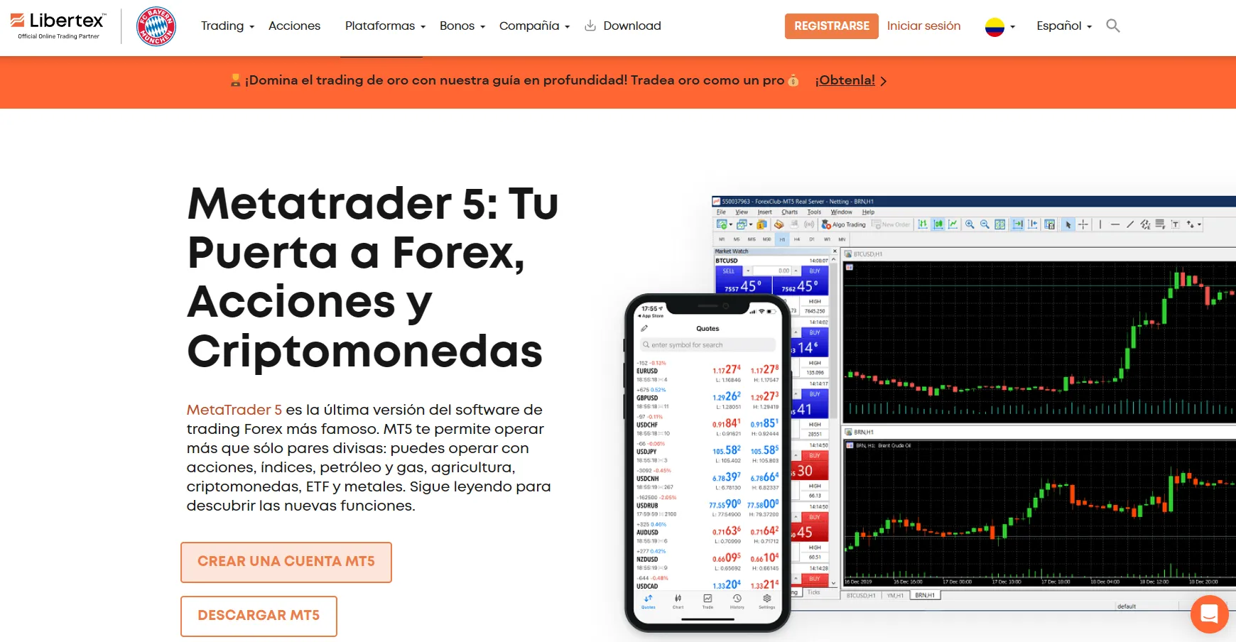 forex forex
