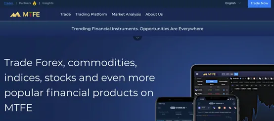 MTFE website MTFE website