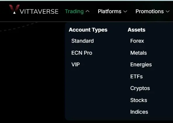 What Can I Trade on VITTAVERSE?