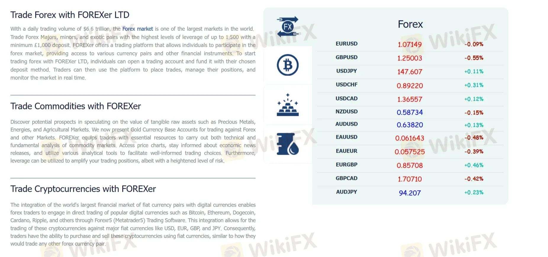 What Can I Trade on FOREXer?