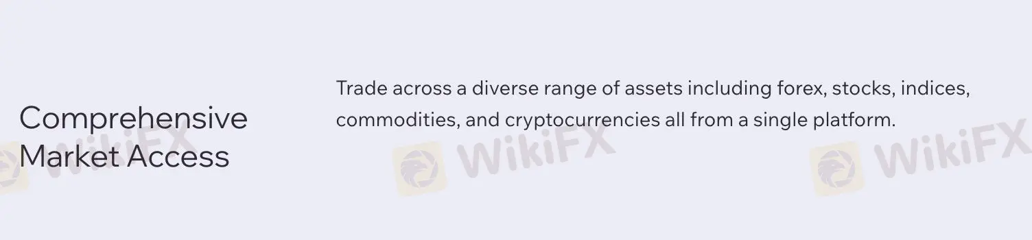 Tradeberry可以交易什么？