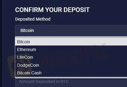 Payment options