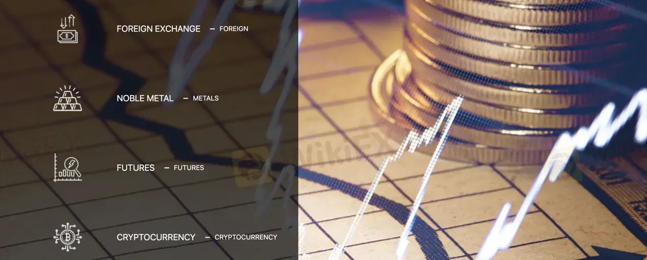 What Can I Trade on Macro Capital Group Ltd?