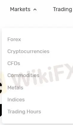 What Can I Trade on FRX?