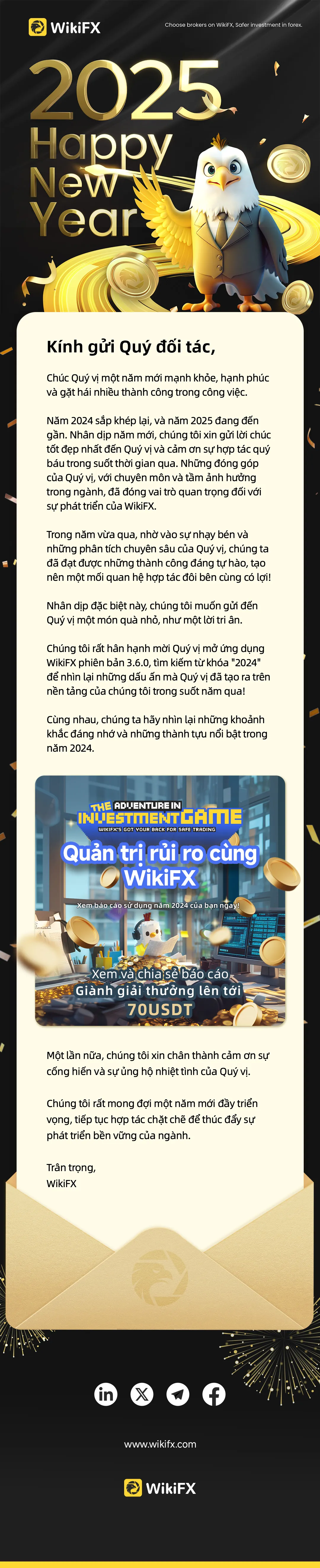VN-FX-新年海报.jpg