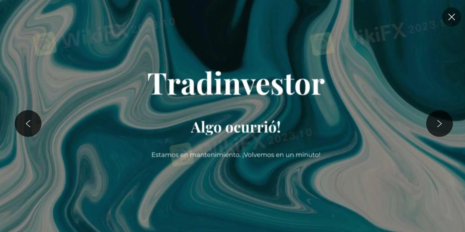 TradInvestor Information
