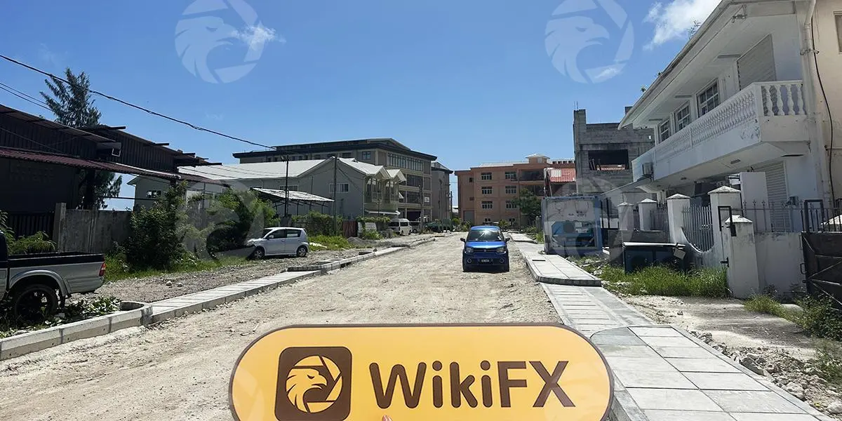 WikiFX Field Survey WikiFX Field Survey