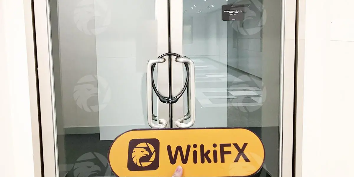 WikiFX Field Survey