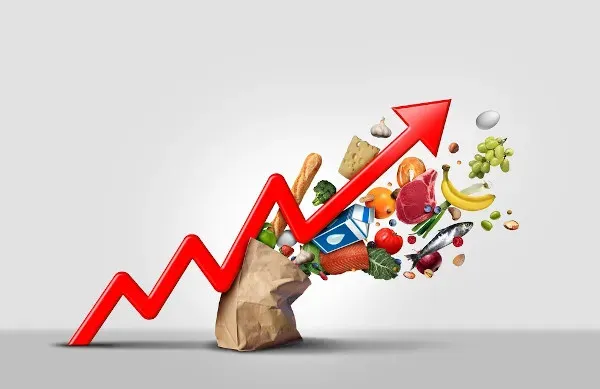 • operar forex • mercado forex como funciona • operar forex • mercado forex como funciona