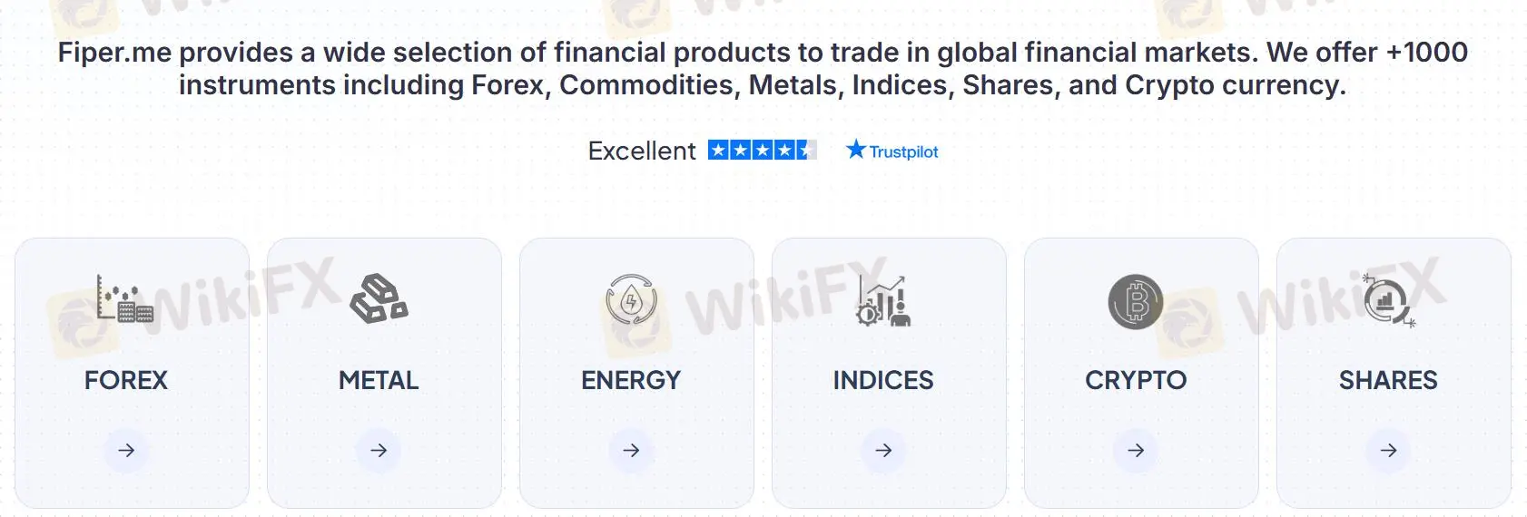 What Can I Trade on Fiper?