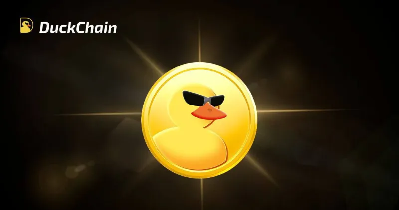 duck chain.jpg duck chain.jpg