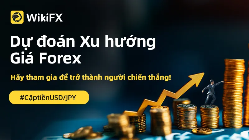 vn800X450-文章头图A 拷贝 8.jpg