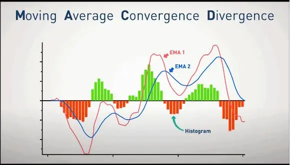 Using MACD to Confirm Reversal