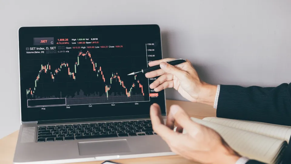 expert advisor.jpg expert advisor.jpg