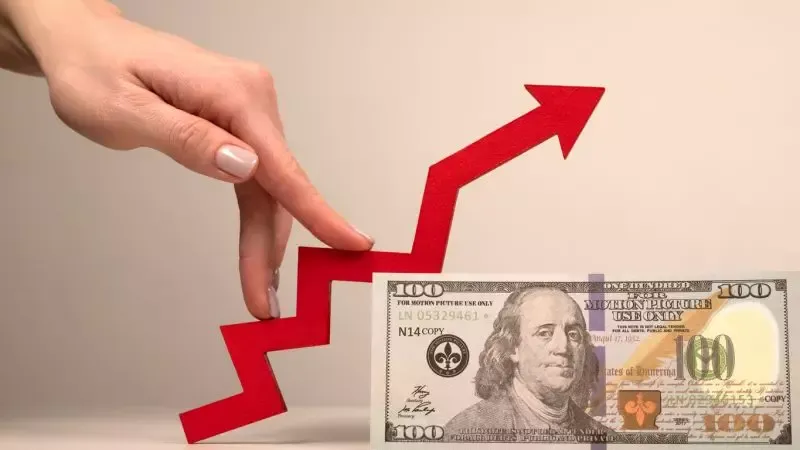 investimentos forex roboforex mt4 xtb forex alpari mt4 forex mercado financeiro investimentos forex roboforex mt4 xtb forex alpari mt4 forex mercado financeiro