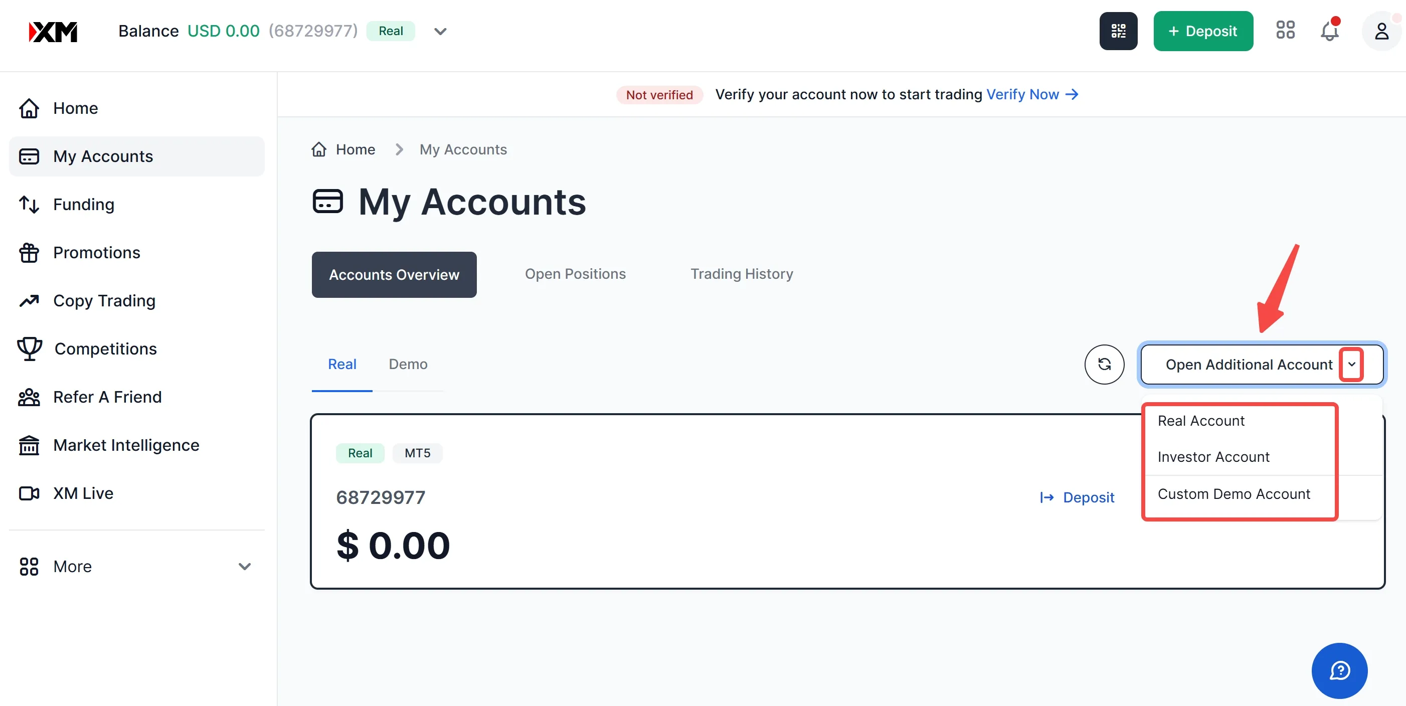 Click the 'Open Additional Account' Click the 'Open Additional Account'