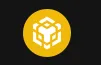 Binance Coin (BSC BEP-20)