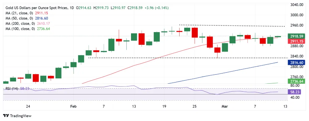 XAU_USD-638773462499009868.jpg
