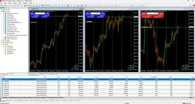 trader-indonesia-2025-jadi-korban-broker-st-vincent-and-the-grenadines.jpg