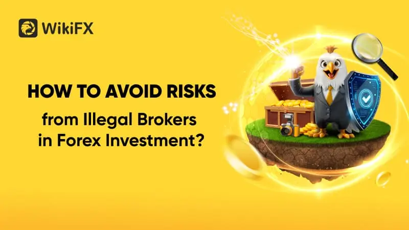 How to Avoid Risks from Scam Brokers in Forex Investment？