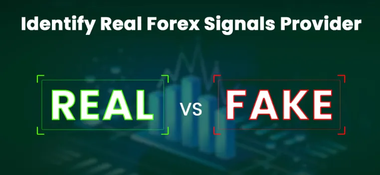 How to Identify Foreign Exchange Cheaters How to Identify Foreign Exchange Cheaters