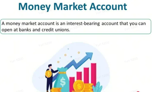 Money Market Accounts