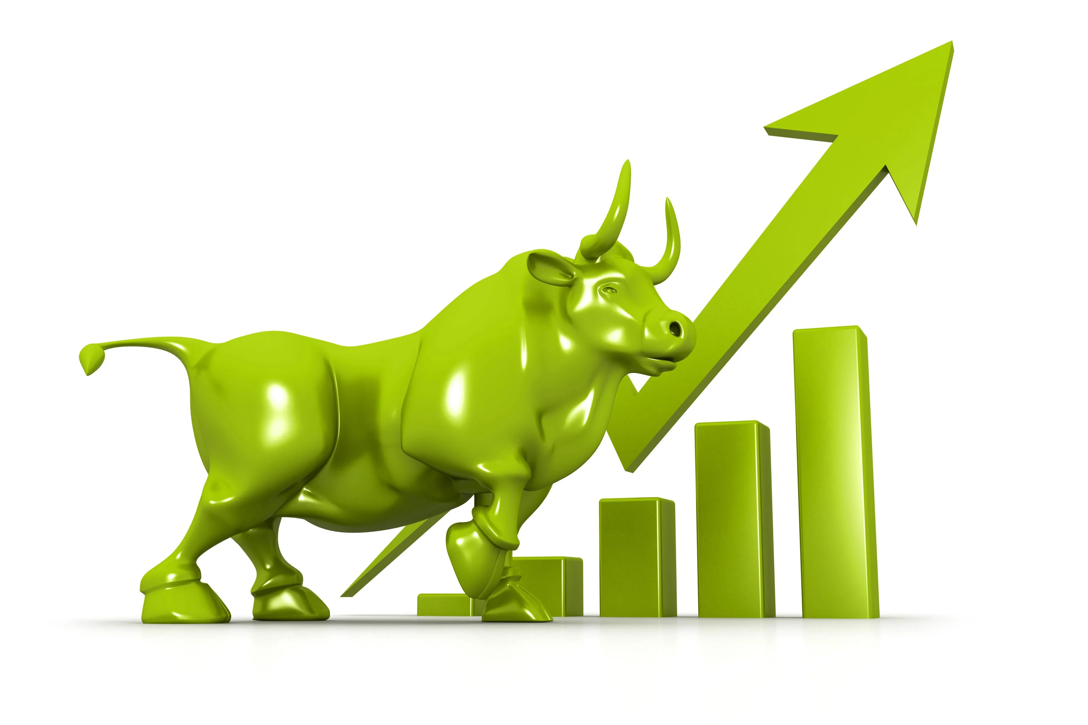 Bull Market Bull Market
