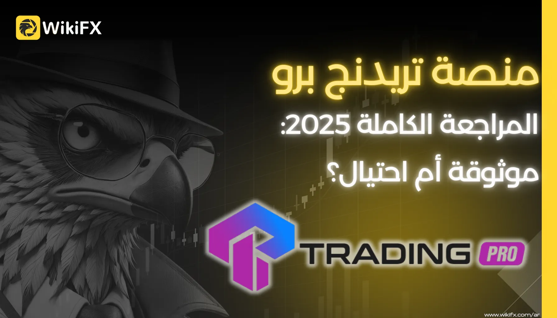 منصة تريدنج برو.png منصة تريدنج برو.png