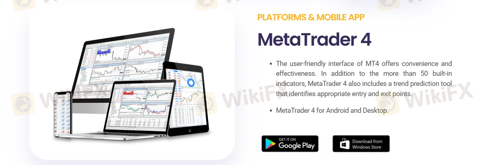 MT4