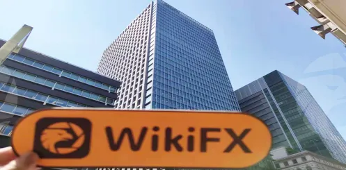 WikiFX Field Survey