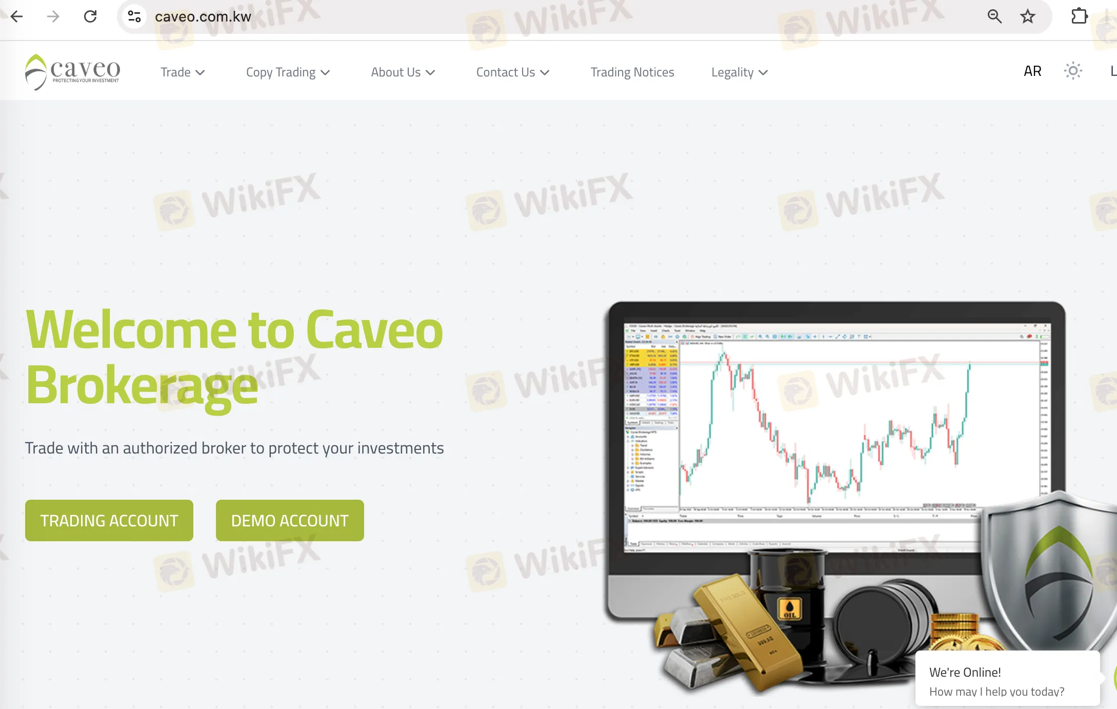 Caveo Information
