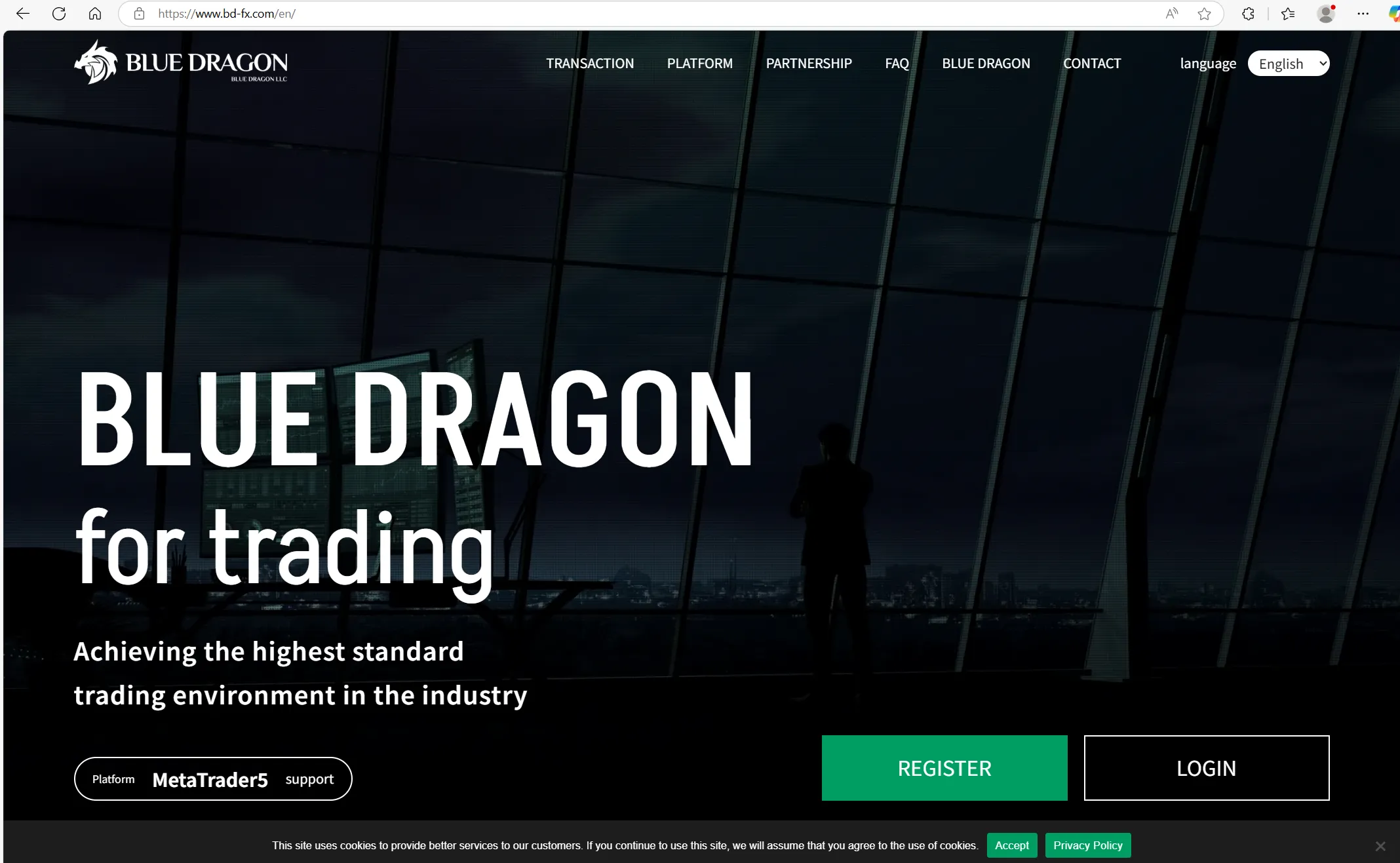 Blue Dragon's homepage