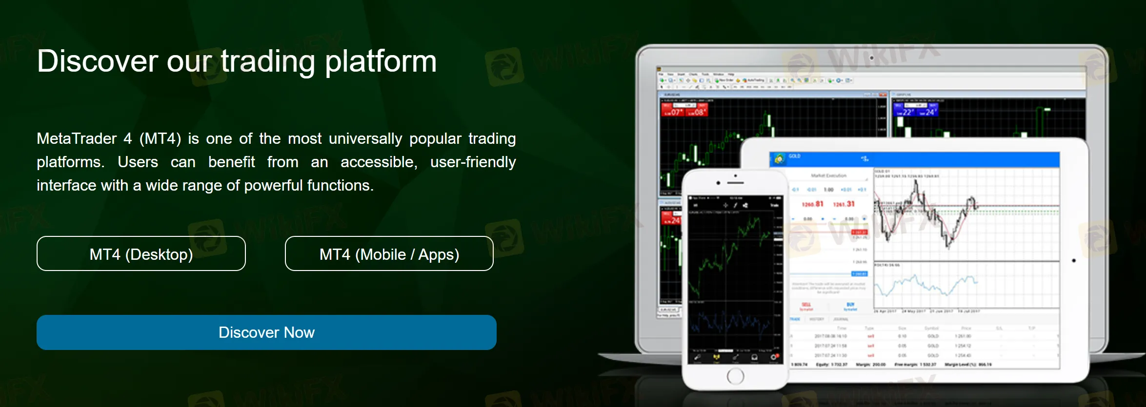 MT4 platform MT4 platform