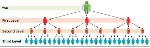 图片8.jpg 图片8.jpg