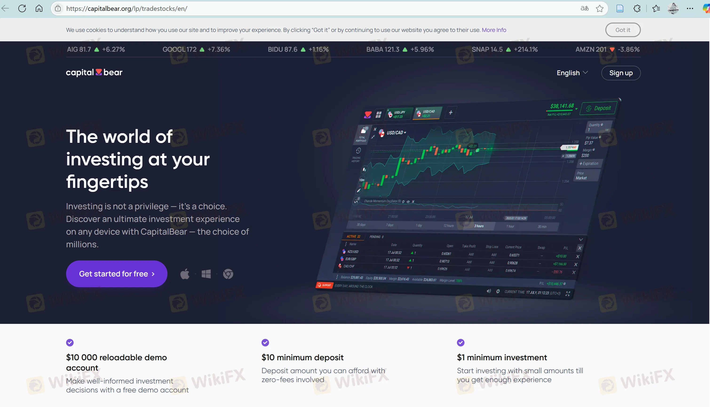 CapitalBear's homepage