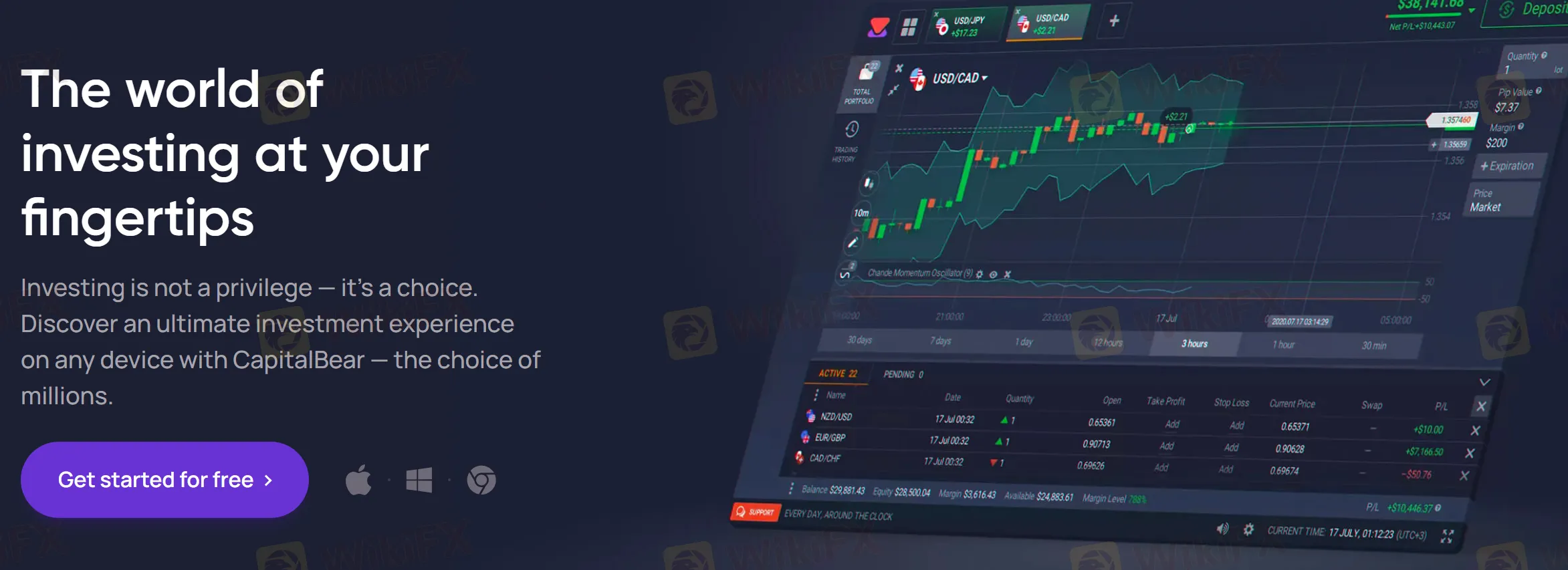 CapitalBear platform