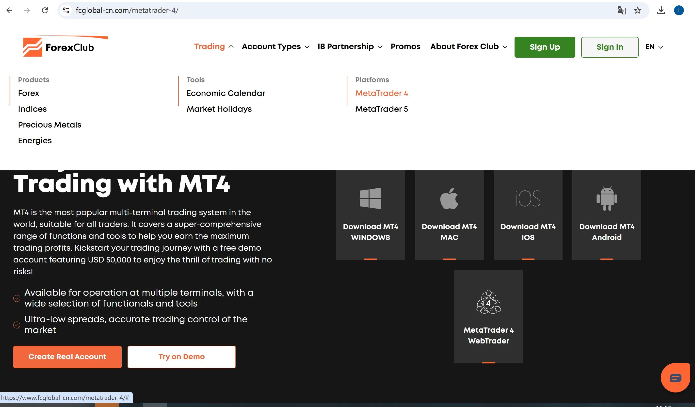 MT5