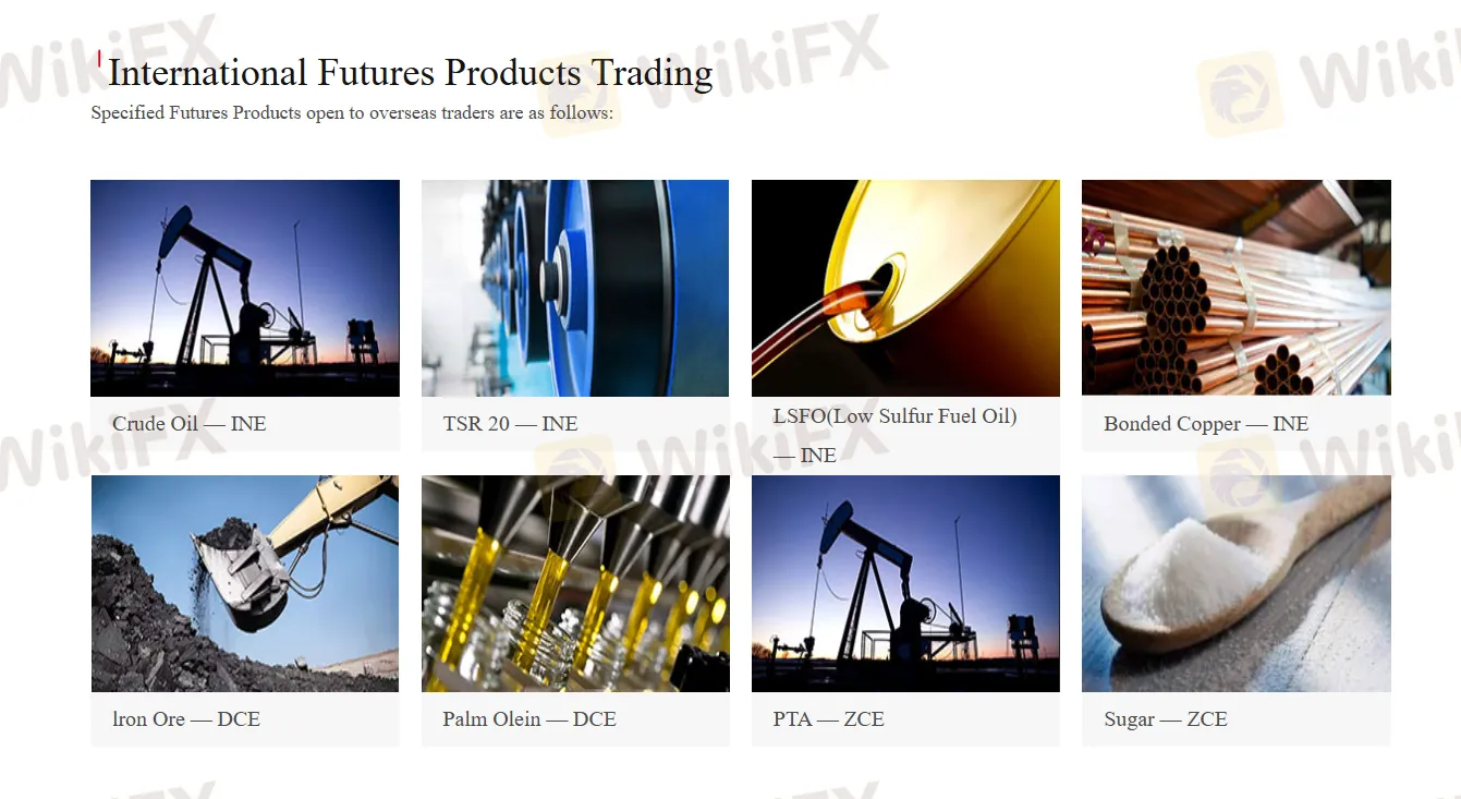 What Can I Trade on WESTERN?