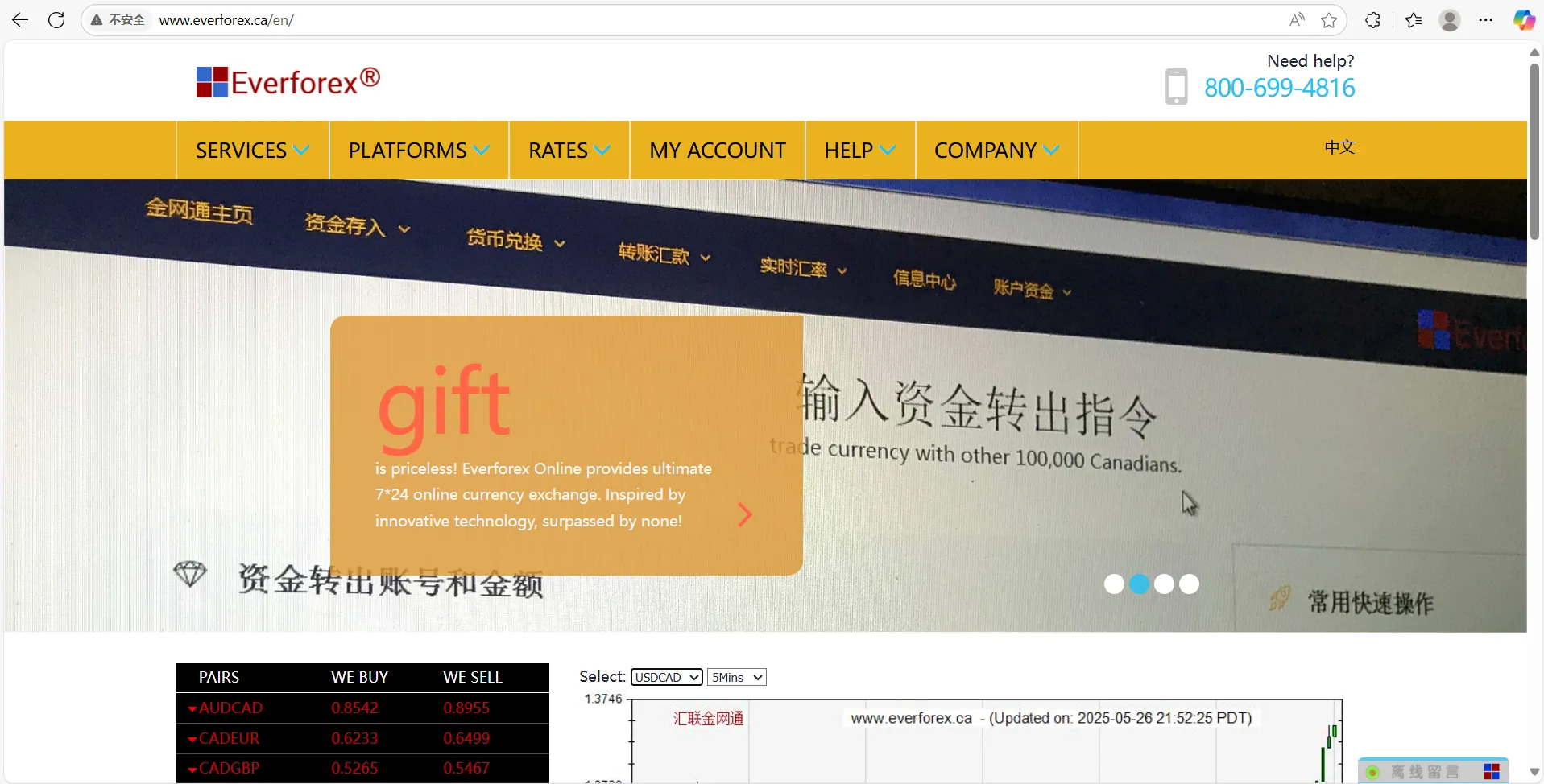 Everforex Information