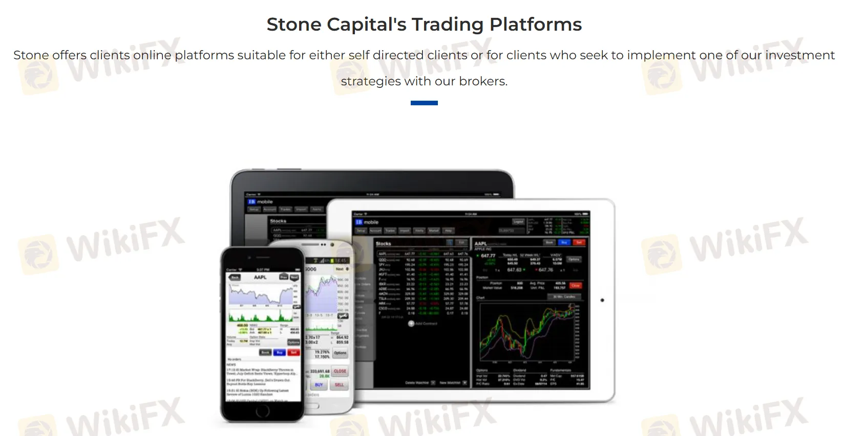 Stone Capital Platform