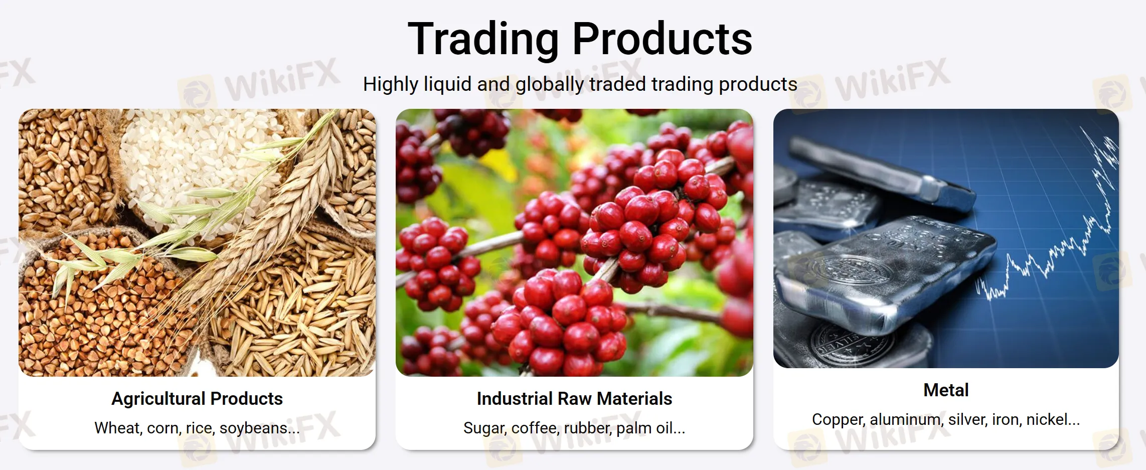 What Can I Trade on SAIGON FUTURES?