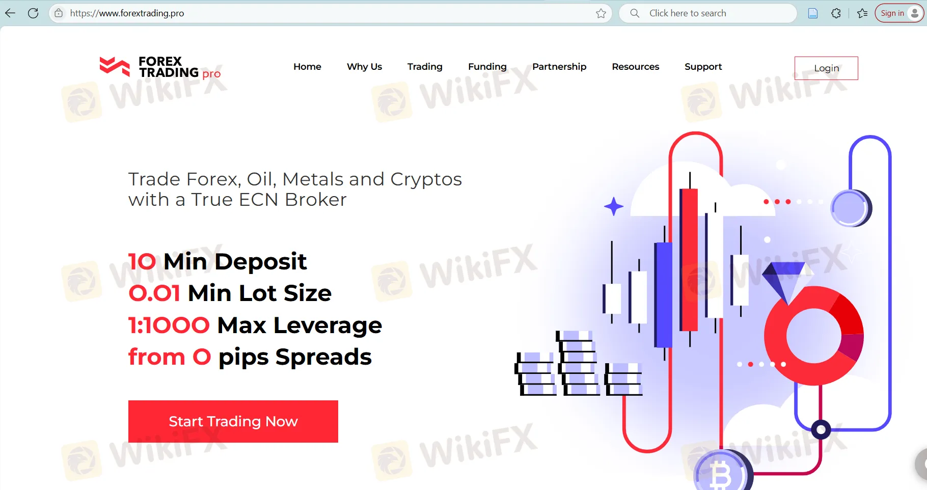 FOREX TRADING PRO's homepage