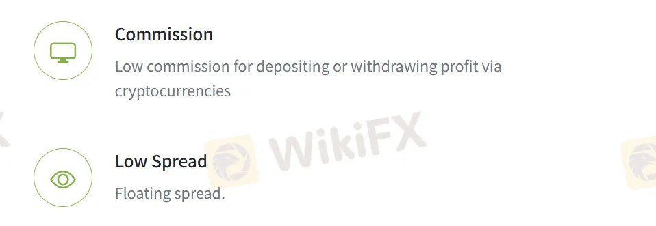 Trade Magic Fees