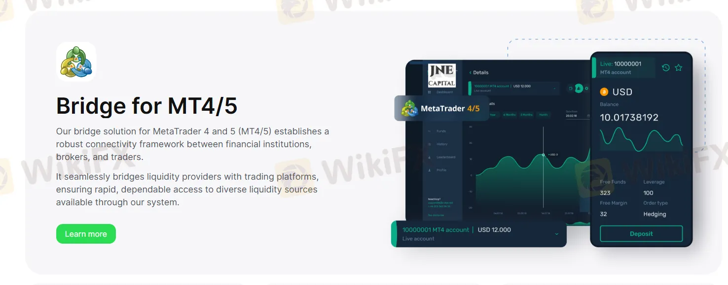 Platform MT4 dan MT5