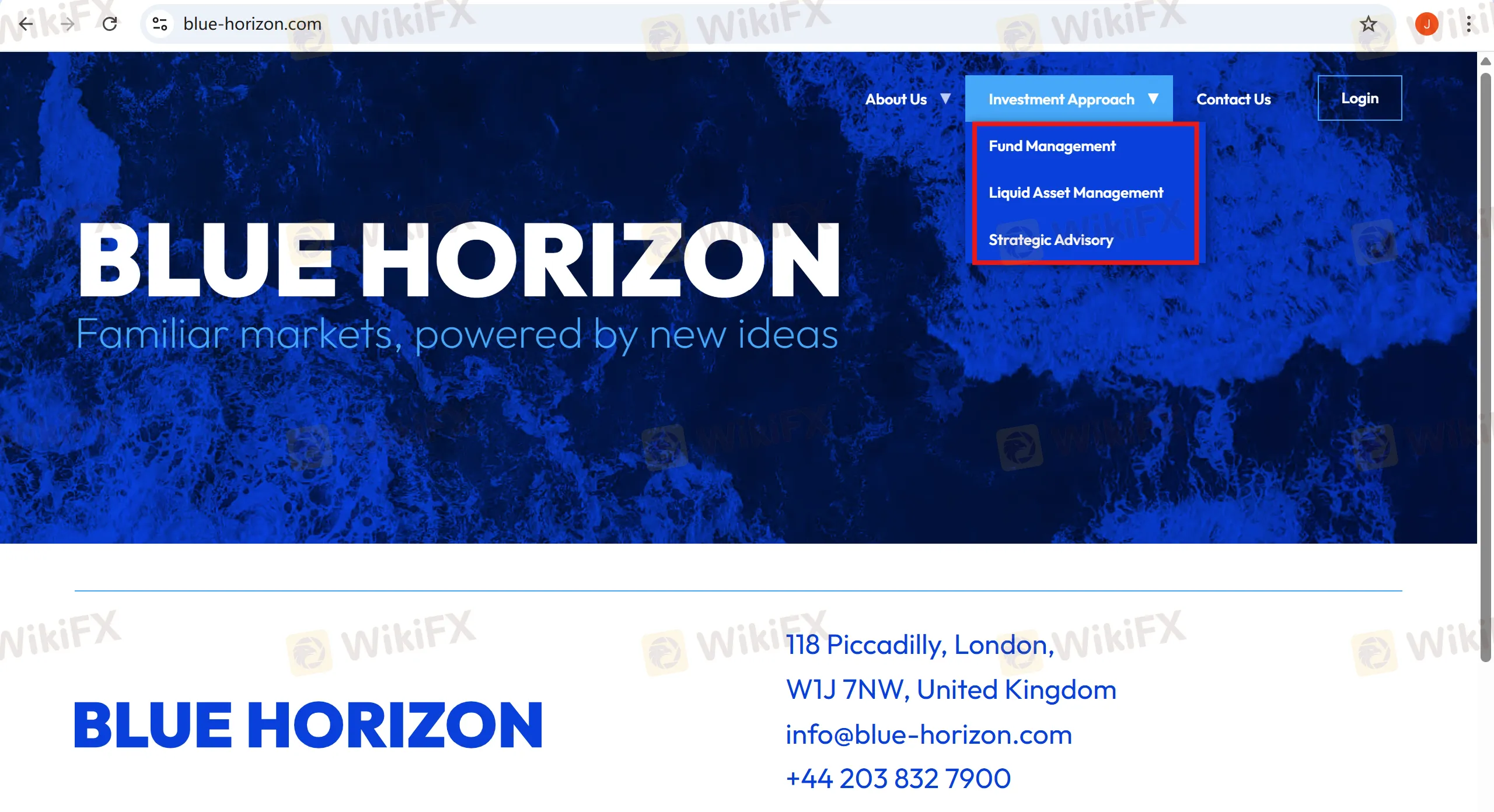 BLUE HORIZON Services