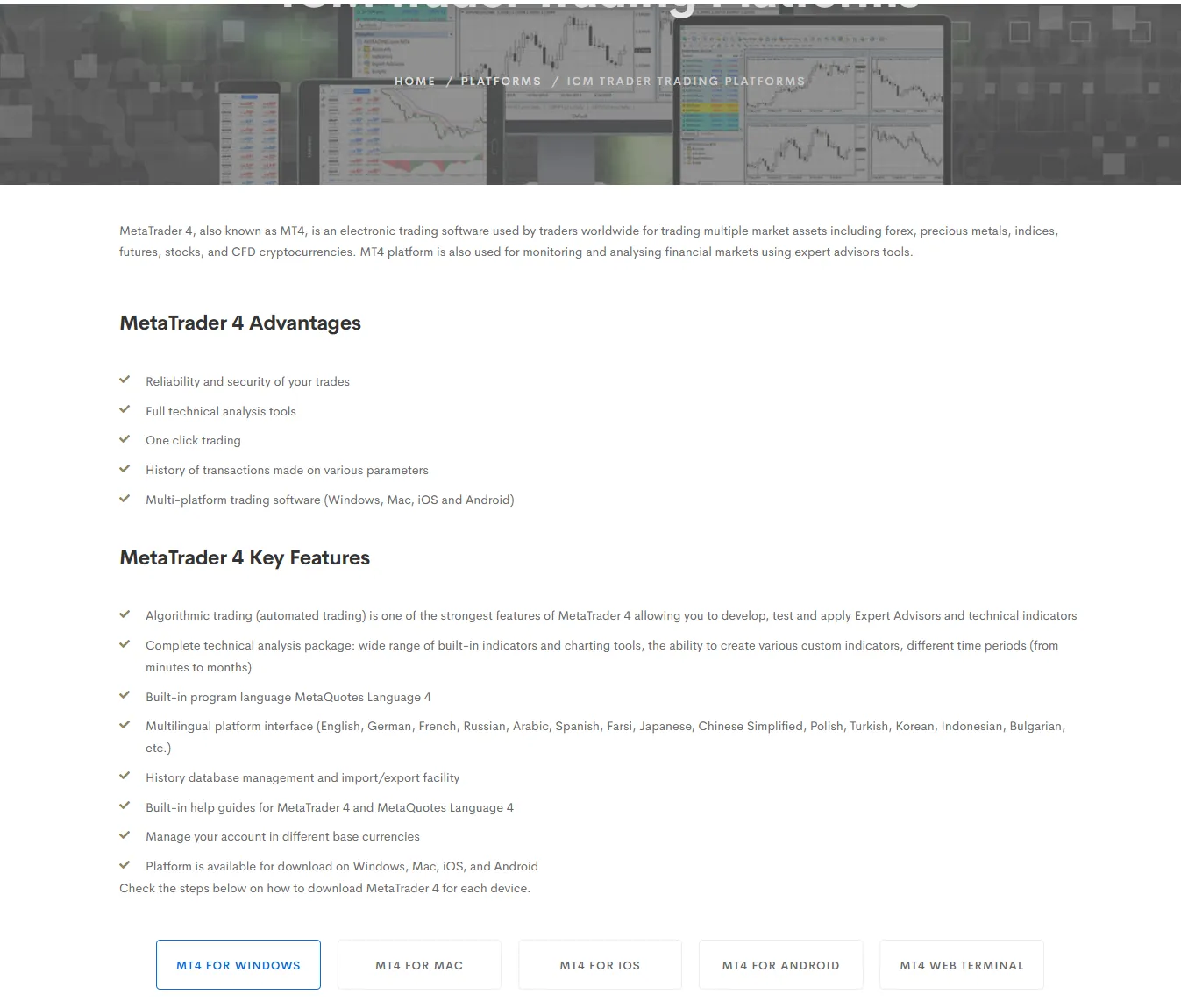 MT4 platform