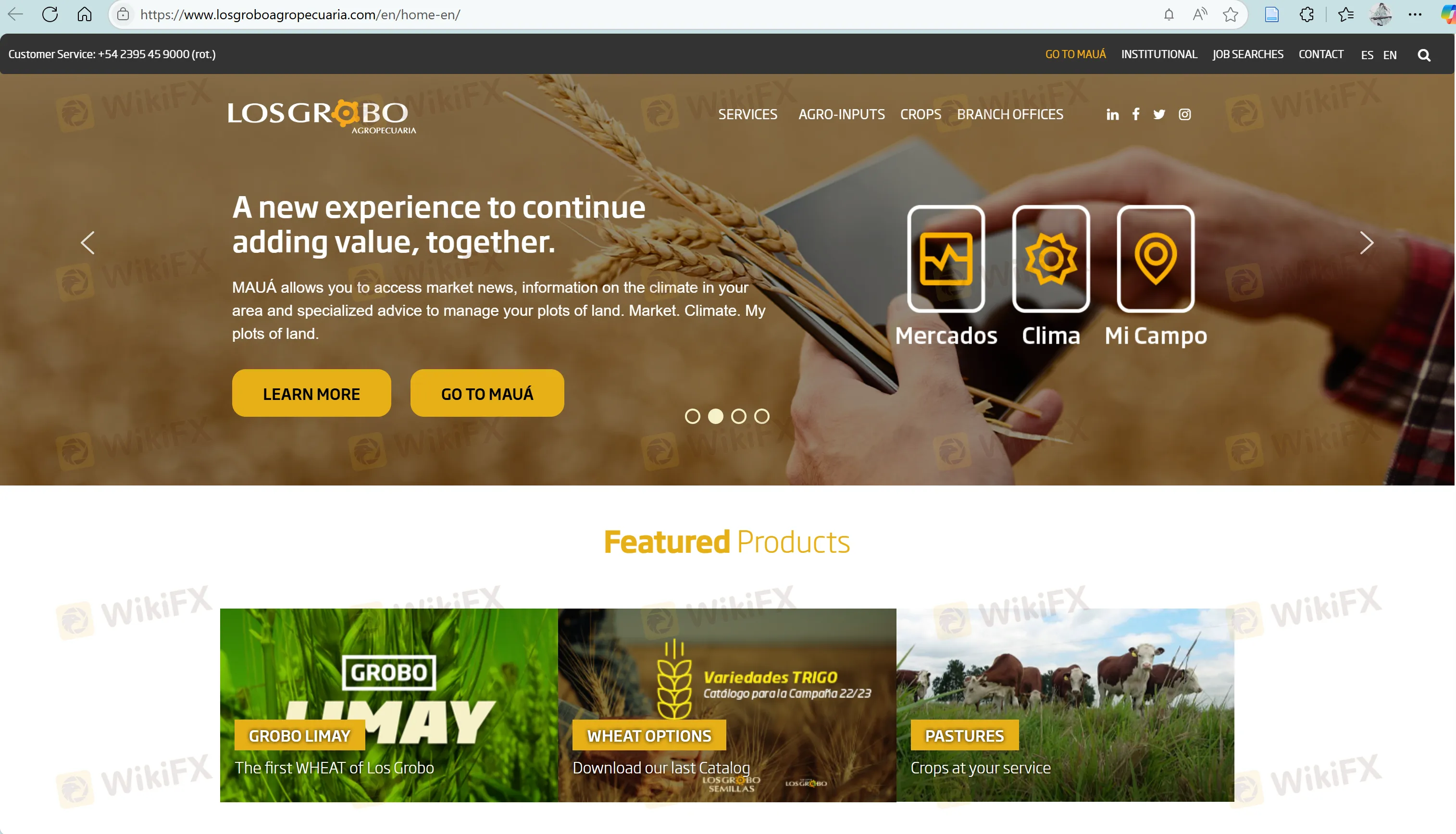 Los Grobo's homepage