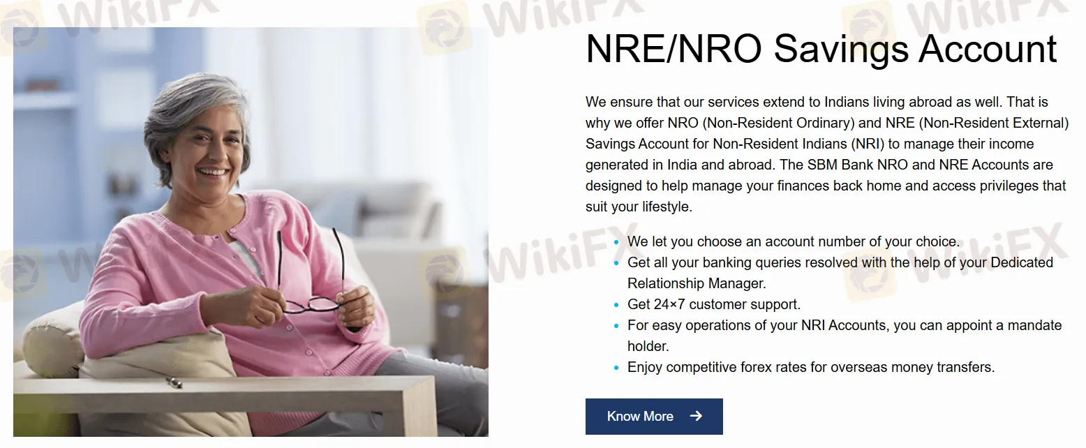 NRE/NRO Savings Account