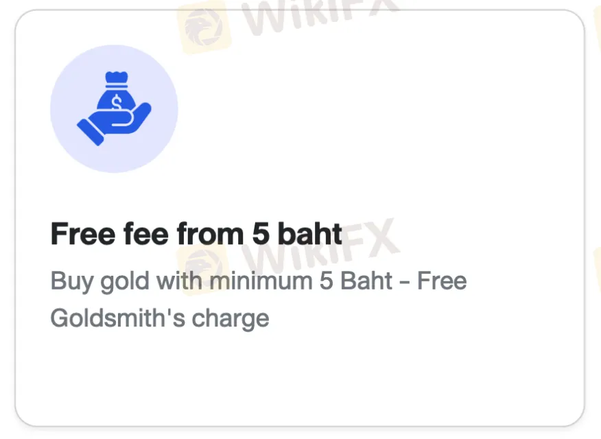 YLG Fees