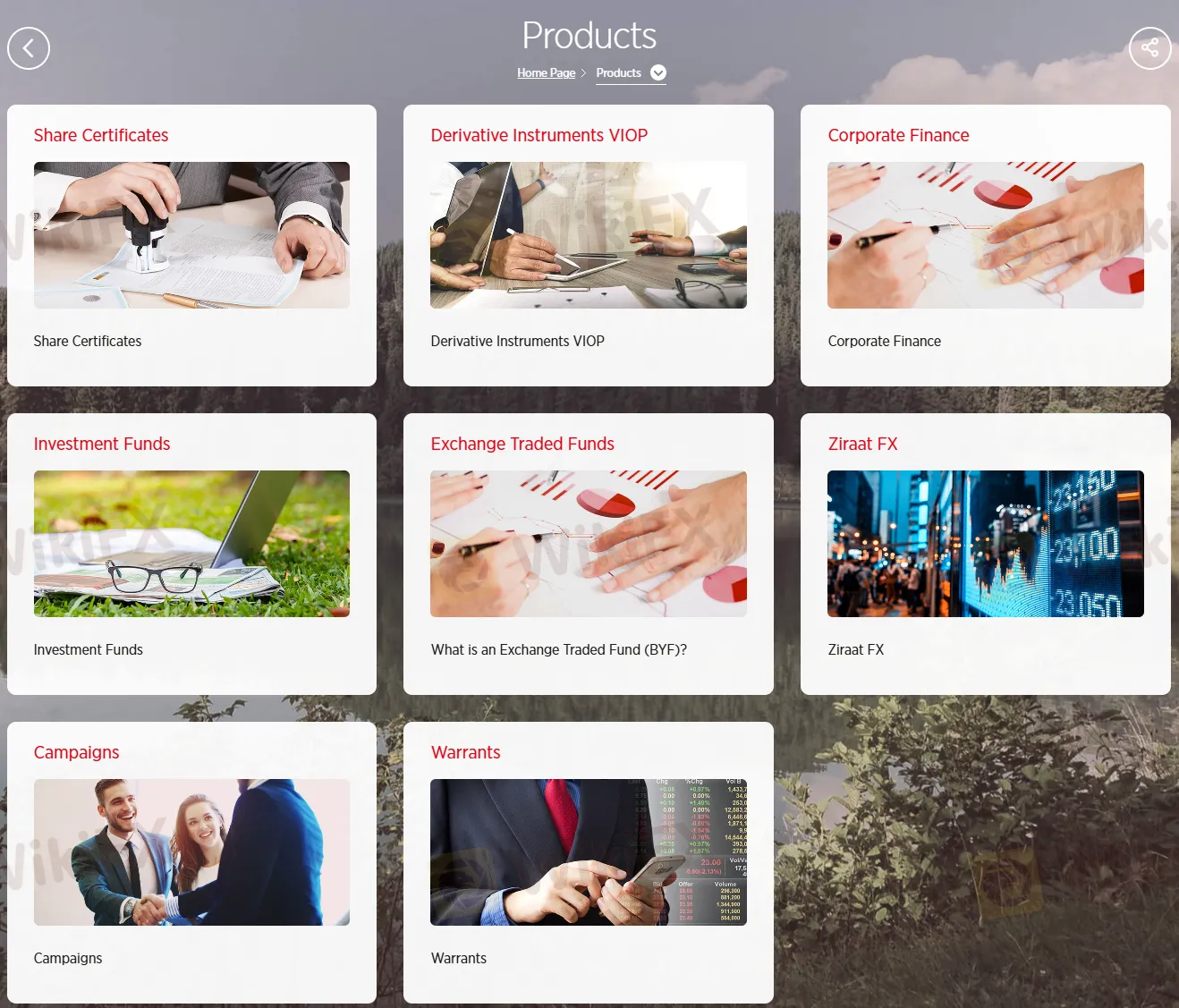 Products